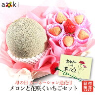 母の日 カーネーション 造花 付 メロン と 花咲く いちご セットアオキフルーツ[メロン 紅白いちご]RC 送…