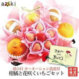 母の日 カーネーション 造花 付 柑橘 と 花咲く いちご セットアオキフルーツ[サンゴールドキウイ デコポン 紅白いちご 日向夏・小夏他]RC 送料込 果物ギフト 贈り物 プレゼント 果物詰め合わせ 母の日 mother's day mother 母の日のプレゼント くだもの