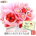 母の日 花咲くいちごとさくらんぼアオキフルーツ[いちご カーネーション造花 さくらんぼ 白いちご]RC 送料込 果物ギフト 贈り物 プレゼント 果物詰め合わせ 母の日 mother's day mother 母の日のプレゼント くだもの 季節のフルーツ