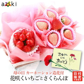母の日 花咲くいちごとさくらんぼアオキフルーツ[いちご カーネーション造花 さくらんぼ 白いちご]RC 送料込 果物ギフト 贈り物 プレゼント 果物詰め合わせ 母の日 mother's day mother 母の日のプレゼント くだもの 季節のフルーツ