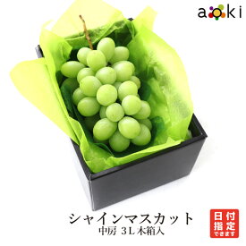 シャインマスカット 中房　3L 化粧箱入 アオキフルーツ [シャインマスカット 3L]RC 送料込 果物詰め合わせ 誕生日 プレゼント 御祝 内祝 結婚 御見舞ギフト お礼 快気祝い お祝い くだもの 内祝い 贈り物 お供え物 季節のフルーツ 中元 夏ギフト