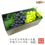 【当日発送OK】シャインマスカット＆ナガノパープル 小房　2L 化粧箱入 アオキフルーツ [シャインマスカ…