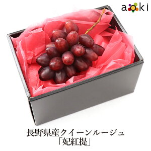 쌧YNC[[Wu܍gv AILt[c [NC[[W 2L]RC  ʕlߍ킹 a v[g j j  䌩  Cj j  蕨 