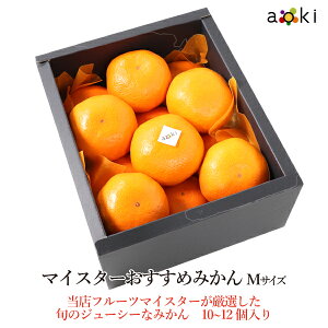 y11{蔭z}CX^[߂݂ MTCY 10`12AILt[c[߂݂iMTCYj]RT Ε Ε ~Mtg  ʕlߍ킹 a v[g j 