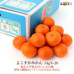 y12{蔭z悱݂5kg S`2STCY[悱݂@S`2STCY]RT Ε Ε ~Mtg  ʕlߍ킹 a v[g j j wj  䌩 Cj 