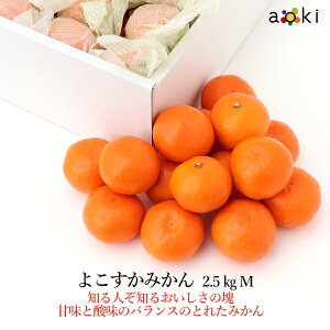 y12{蔭z悱݂2.5kg@MTCY[悱݂@MTCY]RT Ε Ε ~Mtg  ʕlߍ킹 a v[g j j wj  䌩 Cj 