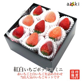 紅白いちごミニボックス[いちご　白いちご]RC イチゴ 苺 お歳暮 御歳暮 冬ギフト 送料込 果物詰め合わせ 誕生日 プレゼント 御祝 内祝 入学祝 結婚 御見舞 快気祝 くだもの 旬の果物 プレゼント 引越し祝 御供 クリスマス 熨斗対応 のし対応