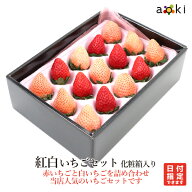 【当日発送可】紅白いちごセット （12〜20粒） 化粧箱入 200g前後[紅白いちご]RC イチゴ 苺 送料込 果物…