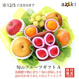 旬のフルーツギフトA アオキフルーツ ［いちご シャインマスカット みかん りんご 柿 和梨］ RC 送料込 果物 誕生日 プレゼント 御祝 内祝 結婚 御見舞 快気祝 御供 熨斗 のし対応 卒業祝 退職祝 中元 夏ギフト