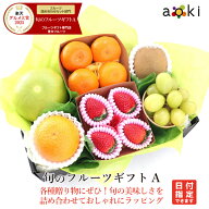旬のフルーツギフトAアオキフルーツ[いちご せとか キウイフルーツ シャインマスカット みかん メロゴー…