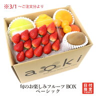 マイスターセレクト！ 旬のお楽しみフルーツBOXベーシック アオキフルーツ RC 送料込 果物詰め合わせ フ…