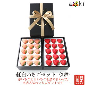 【当日発送可】紅白いちごセット（2段）[いちご 白いちご]RC イチゴ 苺 送料込 果物詰め合わせ 　ひな祭り　お歳暮 御歳暮 冬ギフト 誕生日 プレゼント 御祝 内祝 入学祝 結婚 御見舞 快気祝 くだもの 旬の果物 プレゼント 御供 熨斗対応 のし対応