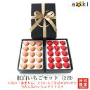 【あまりん入り！】【当日発送可】紅白いちごセット（2段）[あまりん 白いちご]RC イチゴ 苺 送料込 果物詰め合わせ …