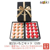 【あまりん入り！】【当日発送可】紅白いちごセット（2段）[あまりん 白いちご]RC イチゴ 苺 送料込 果物…