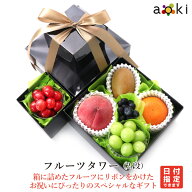 【当日発送OK】フルーツタワー（2段） アオキフルーツ[おすすめ柑橘 キウイフルーツ さくらんぼ シャイン…