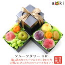 【当日発送OK】フルーツタワー（2段） アオキフルーツ[キウイフルーツ シャインマスカット プラム みかん 黄金桃 桃 …