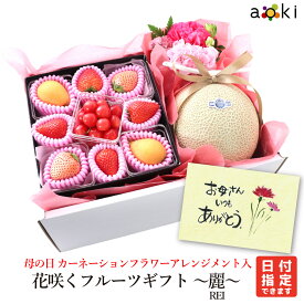 遅れてごめんね　母の日 花咲くフルーツギフト -麗- （REI）アオキフルーツ[いちご お花 さくらんぼ びわ マスクメロン]RC 送料込 果物ギフト 贈り物 プレゼント 果物詰め合わせ 母の日 mother's day mother 母の日 くだもの