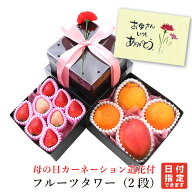 母の日 カーネーション 造花 付 フルーツタワー（2段）アオキフルーツ[いちご おすすめ柑橘 デコポン に…