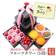 母の日 カーネーション 造花 付 フルーツタワー（2段）アオキフルーツ[いちご おすすめ柑橘 デコポン に…