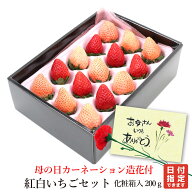 母の日 カーネーション 造花 付 紅白いちごセット （12〜20粒） 化粧箱入 200g前後アオキフルーツ[紅白い…