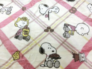 Xk[s[  |zcJo[ VO   150x210cm SI02650045 ѕzɂȂ \ 􂦂 PEANUTS ~p 킢 |ӂƂJo[ L[g  cJo[ ~Q warm