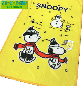 Xk[s[ n[tѕz 100x140cm KK450SN4 CG[ h n[tPbg n[tTCY 􂦂 EHbVu ԓ Lv gїp TCY Et  uPbg SNOOPY EbhXgb