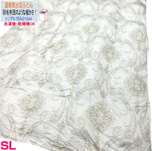 zRoɂ􂦂 @\|zc O[ VOO 150x210cm j`Jf ԊOʂŉHѕzĉ悤Ȓg SnǂC R nEX_Xg΍ @E@OK E