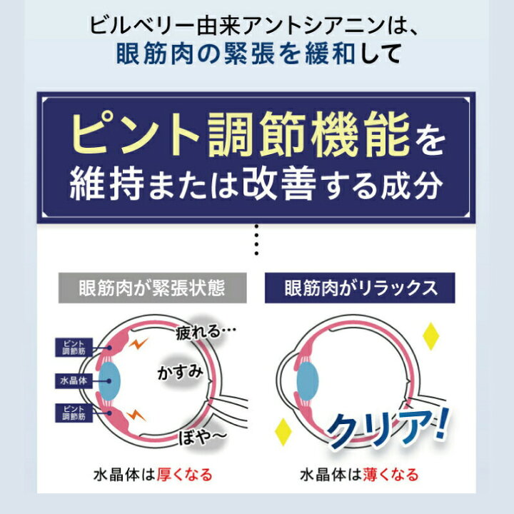 楽天市場】【公式】 めなり ルテイン さくらの森 ビルベリー  