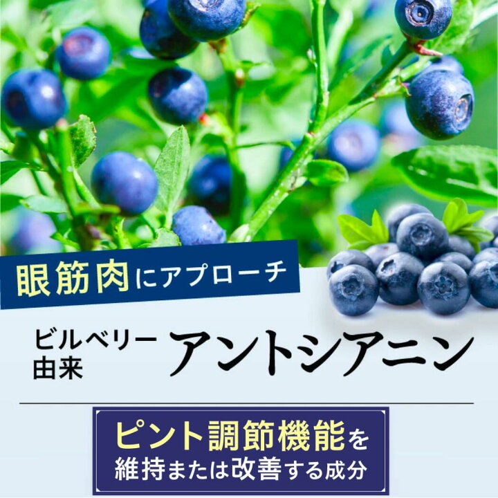 楽天市場】【公式】めなり極 高濃度 機能性表示食品 ルテイン さくらの 