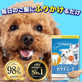 【犬猫歯磨きふりかけ】カケテミーナ 歯磨き デンタルケア 犬 猫 口腔 口腔ケア 口臭 体臭 便臭 ふりかけ トリプルケア 歯垢 歯石 歯肉 歯周 ケア 腸内環境 口内環境 B-MOG 全犬種 全猫種 対応 チキンレバー味 かける GMP認定