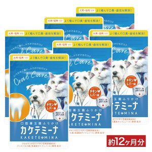 yLӂ肩zJPe~[i  f^PA  L o oPA L ̏L ֏L ӂ肩 gvPA C    PA   B-MOG S SL Ή 