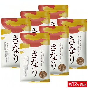 yzȂ 1 IK3 TT Y SS 120 Tvg  ̐X  IK3b_ NHi _CGbg IKb_ L h{ ⋋ dha epa Tv 12 1N