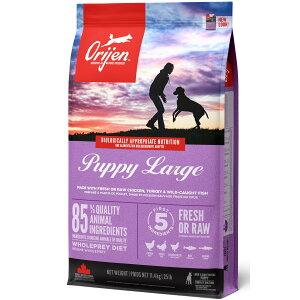 �I���W�� Orijen �p�s�[���[�W ��^�� �q���p �h�b�O�t�[�h 11.4kg
