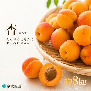�\�� ���쌧�Y ���H�p���� 2kg 4kg 8kg ������ �� ���� �A���Y �ǂ̎� �W�����p �V���b�v�p �R���|�[�g�p �ǎ�p �M�B�Y ���Y �������� �N�[���� ���H�p �ǂ̎� ���n ���� �t���[�c �ʕ� �{