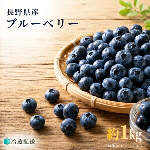 ���u���[�x���[ �ƒ�p 500g 1kg ���쌧�Y �\�� �N�[���� �Â� �{ �t���b�V�� �①���� 6�����{����菇������ �ʕ� �t���[�c ���ʎ� ������ �Ă̖��o �l�C �V�N �W���[�V�[ ���Y �� �① ��