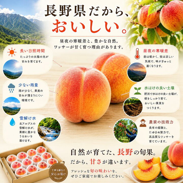 楽天市場】ワッサー 家庭用 1.5kg 3kg 5kg 予約 長野県産 送料無料 