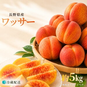 �\�� ���쌧�Y ���b�T�[ �ƒ�p 1.5kg 3kg 5kg �������� �N�[���� �� �l�N�^���� �󏭕i�� �M�B�Y ���Y �Â� ������ 2026