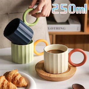 yԌ10OFFz}OJbv k H  R[q[Jbv X[vJbv 250ml  n }O X[v}O eB[Jbv JtF}O X[v}OJbv }bg j Mtg Vv