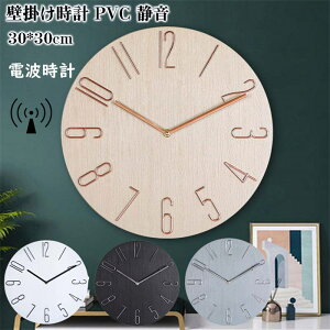 yԌ10OFFzdgv Ǌ|v Ǌ|v |v 12inch Ȃ  EH[NbN NbN30cm Ǐ k dr É Â PVC 12inch 4color