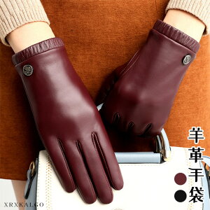 yԌ10OFFzyX}zΉz fB[X v O[u U[ v {v Ԃ  w ۉ U[O[u {vO[u 킢 p U[ g h 