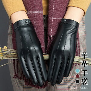 yX[p[SALE10%OFFzyX}zΉz fB[X v O[u U[ v {v Ԃ w ۉ U[O[u {vO[u 킢 p U[ g h  {