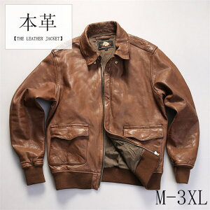 yX[p[SALE10%OFFzU[WPbg U[R[g {v C_[XWPbg rv vW Y { W U[ VOC_[X _uC_[X H~ 傫TCY