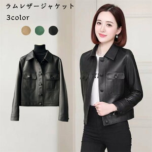 yԌ10OFFz{vWPbg vR[g U[WPbg  AU[ H~AE^[ {vp[J[ V[g  ubN 