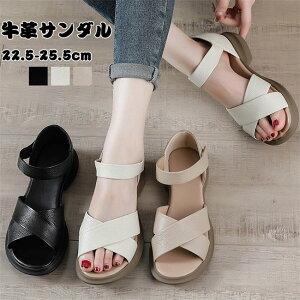 T_ fB[X EGbW\[ vT_  NbV Xgbv r[`T_ fB[X  T_ C ₷  q[ r t   