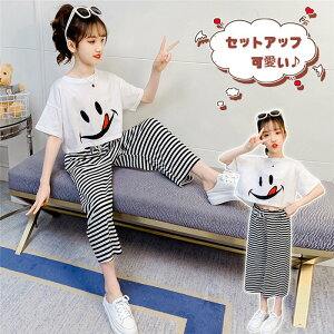 yԌ10OFFzq ZbgAbv 3F LbY ̎q  t 2_Zbg ㉺Zbg TVc  n[tpc  JWA   W[W Vi