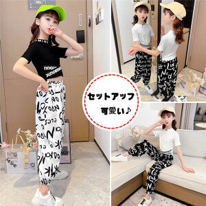 yԌ10OFFzq ZbgAbv LbY ̎q  t 2_Zbg ㉺Zbg TVc  n[tpc  JWA   W[W Vi