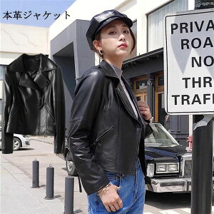 yԌ10OFFz{vWPbg vR[g U[WPbg  AU[ H~AE^[ ܂݃WPbg V[g  ubN 