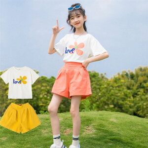 yԌ10OFFzZbgAbv ؍ǂ q ㉺ 2_Zbg TVc gbvX pc JWApc TG ̎q X^C Vv TVc{pc