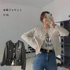 yԌ10%OFFz{vWPbg vR[g U[WPbg  AU[ H~AE^[ rvWPbg V[g  ubN 