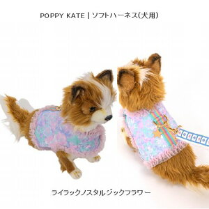 yʔNzfafaytFtFzPOPPY KATE | \tgn[lX(p)i3FjiS/M/LjmZ[ΏۊOnmn